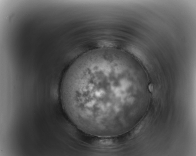 X0000090430353200707201140