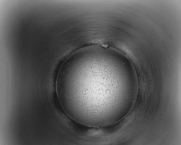 X0000090430354200707201140