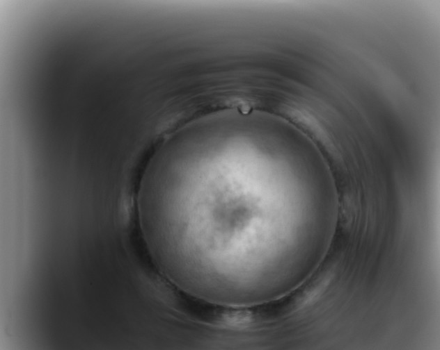 X0000090430355200707201140