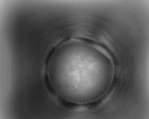 X0000090430356200707201140