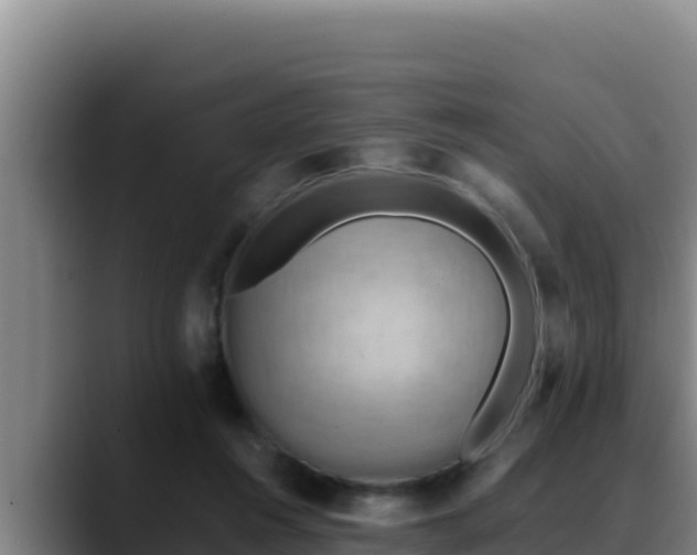 X0000090430360200707201140