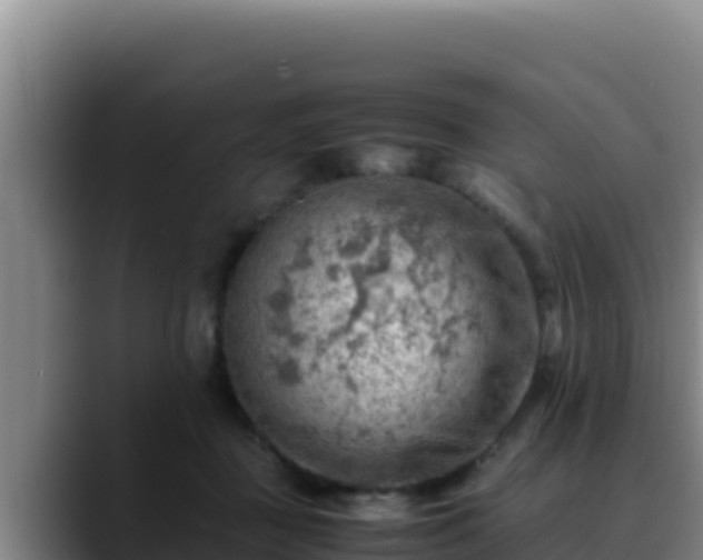 X0000090430363200707201140