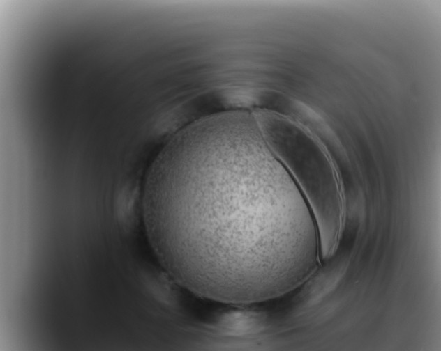 X0000090430364200707201140