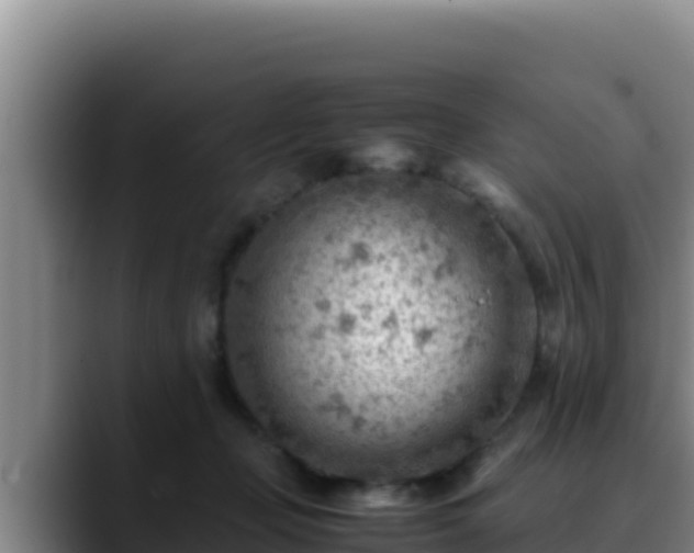 X0000090430365200707201140