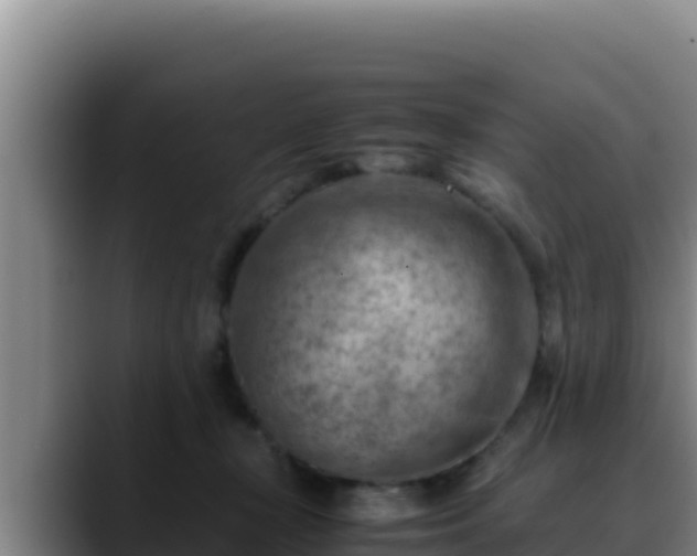 X0000090430367200707201140