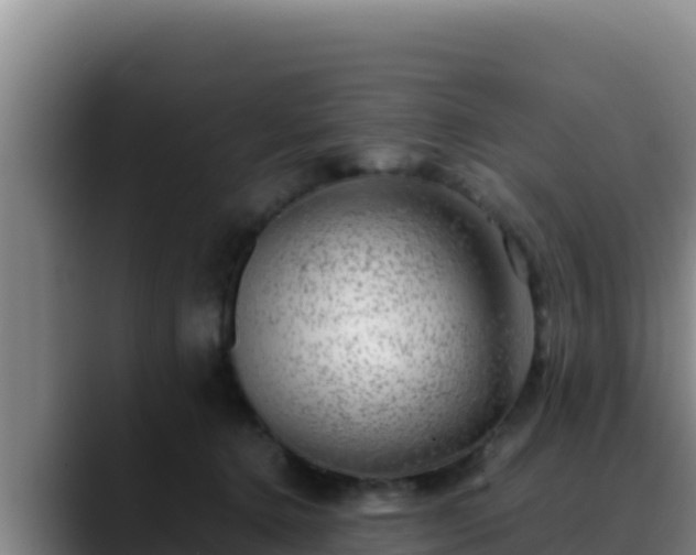 X0000090430368200707201140