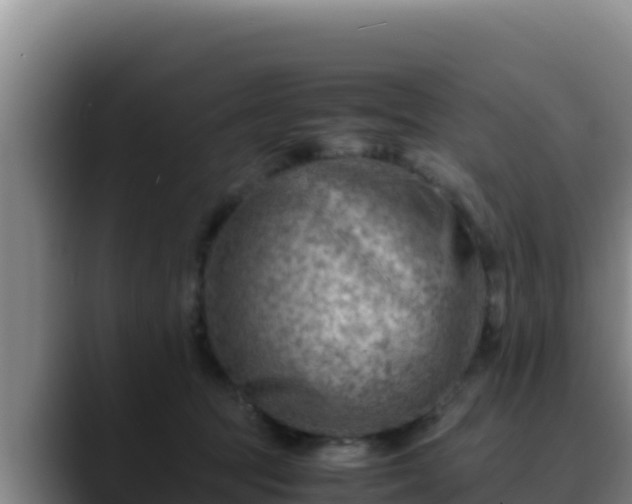 X0000090430369200707201140