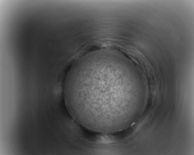 X0000090430372200707201140