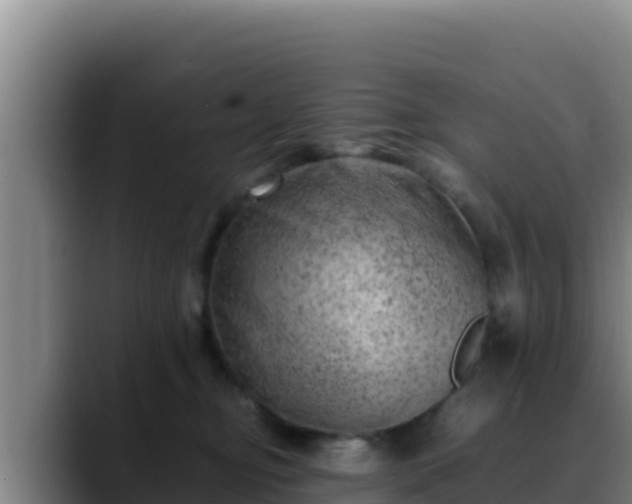 X0000090430374200707201140