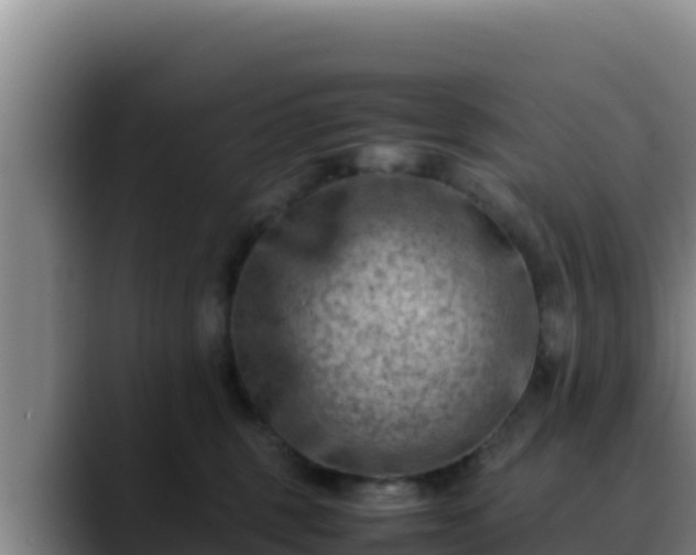 X0000090430375200707201140