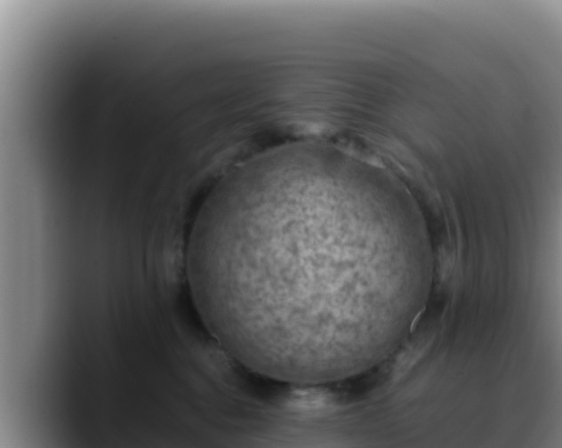 X0000090430376200707201141
