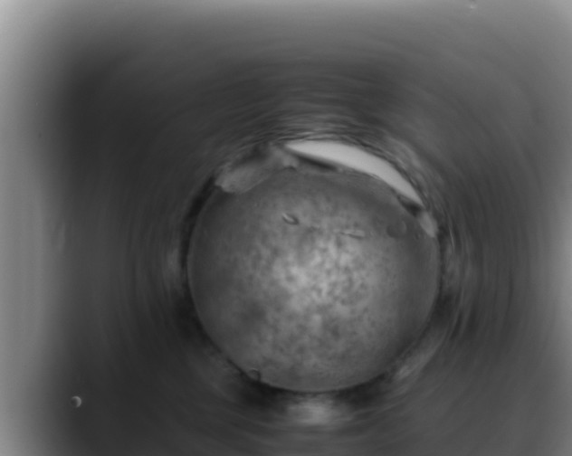 X0000090430377200707201141