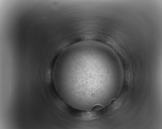 X0000090430378200707201141
