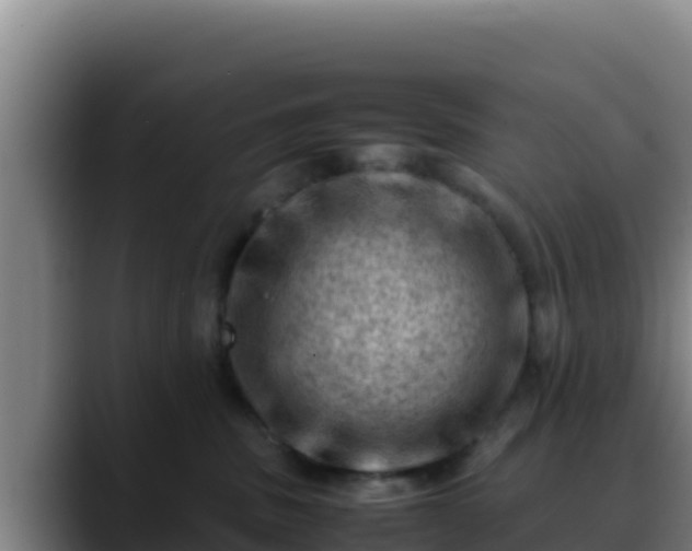 X0000090430379200707201141