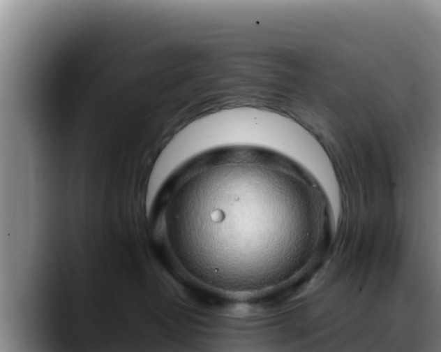 X0000090430382200707201141