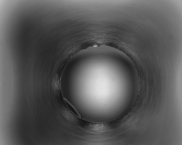X0000090430384200707201141