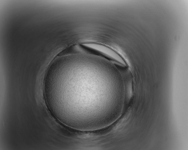 X0000090430385200707201140