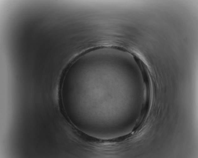 X0000090430387200707201140