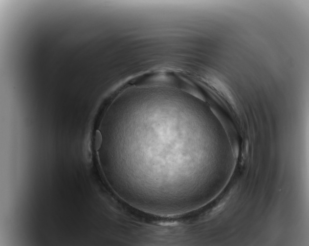 X0000090430388200707201140