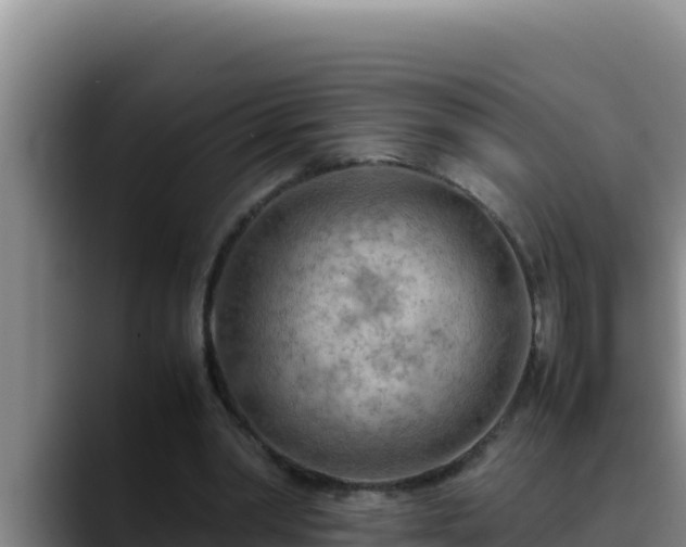X0000090430390200707201140