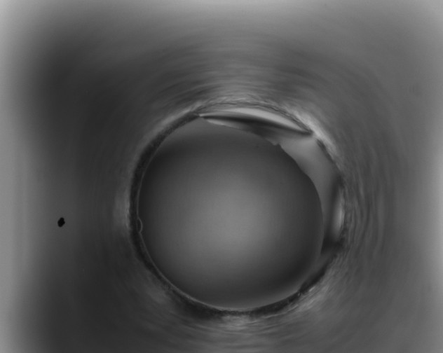 X0000090430391200707201140