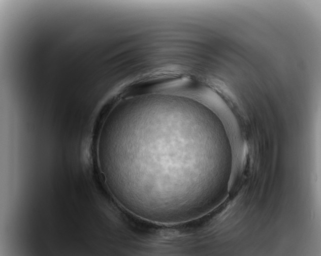 X0000090430392200707201140