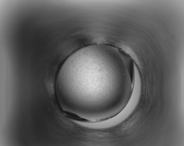 X0000090430393200707201140