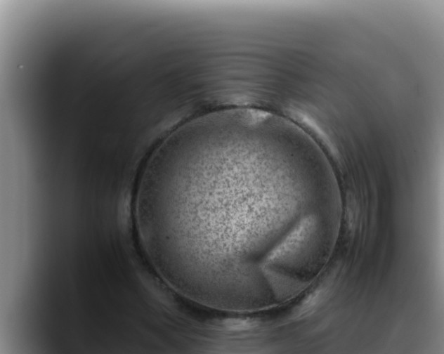 X0000090430394200707201140