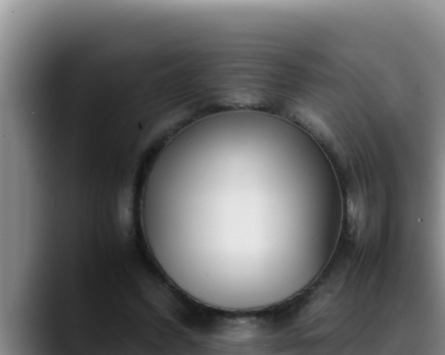 X0000090430396200707201140