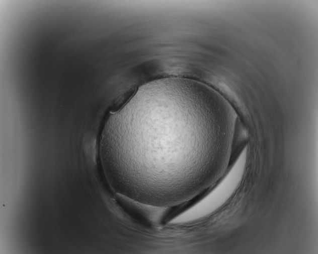 X0000090430397200707201140
