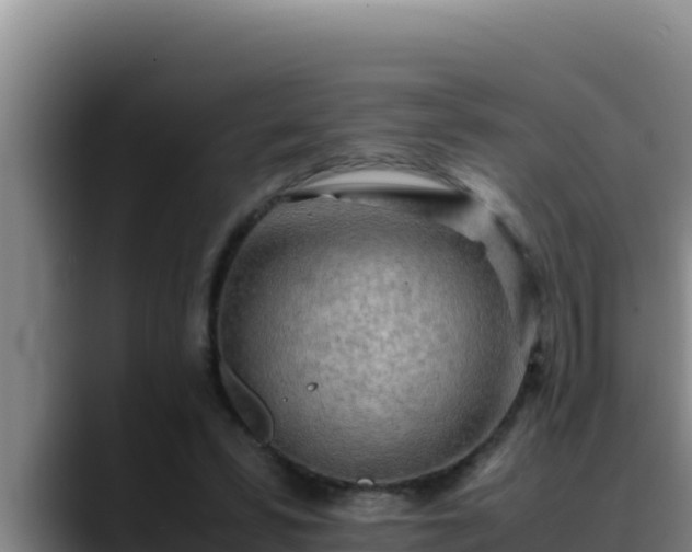 X0000090430399200707201140