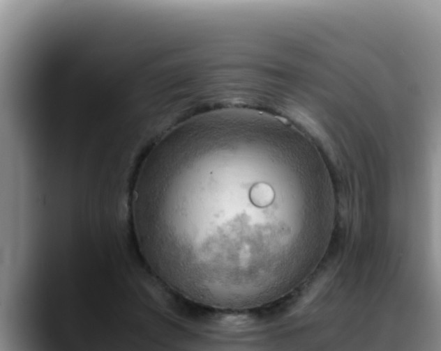 X0000090430401200707201140