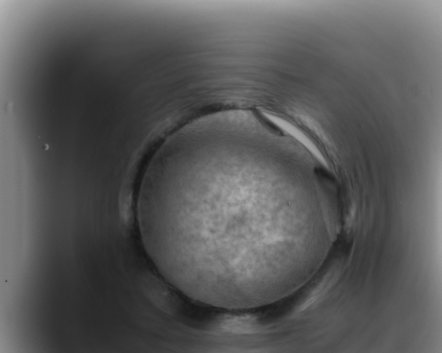 X0000090430403200707201140