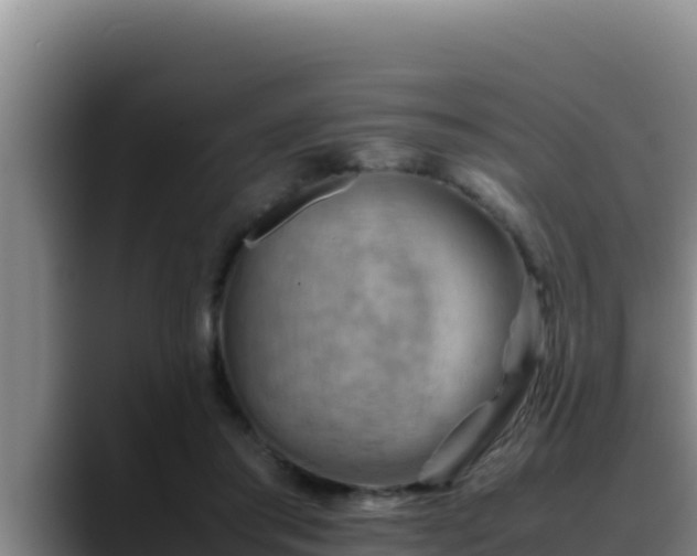 X0000090430405200707201140