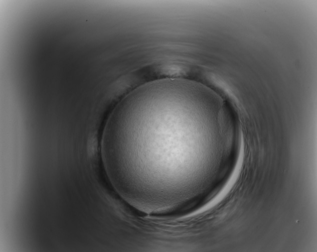 X0000090430407200707201140