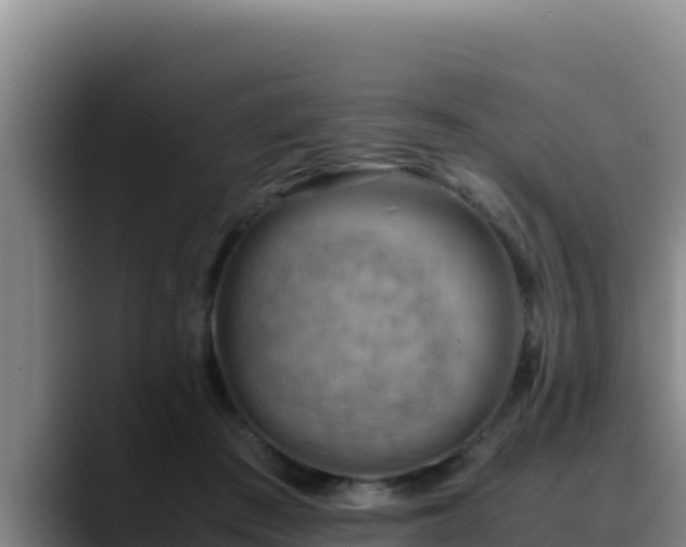 X0000090430409200707201140