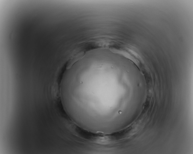 X0000090430411200707201140