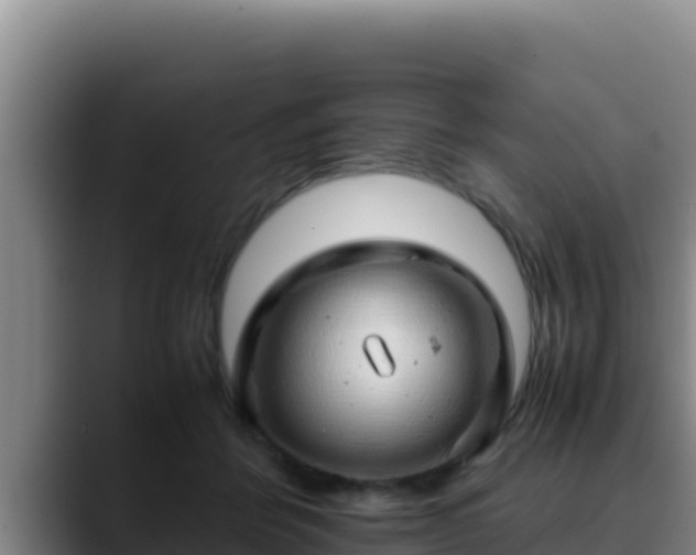 X0000090430412200707201140