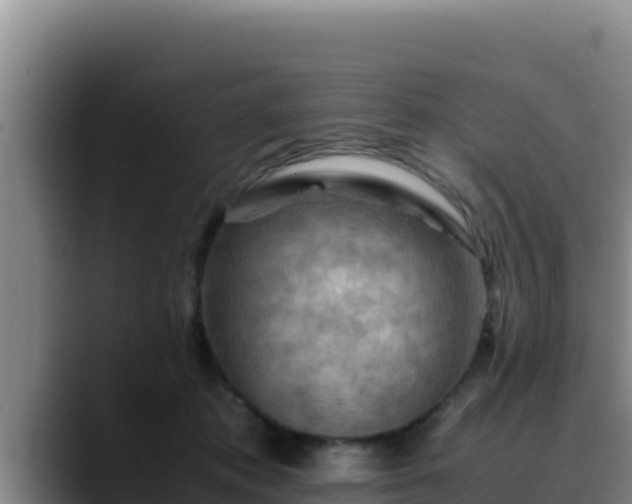 X0000090430413200707201140