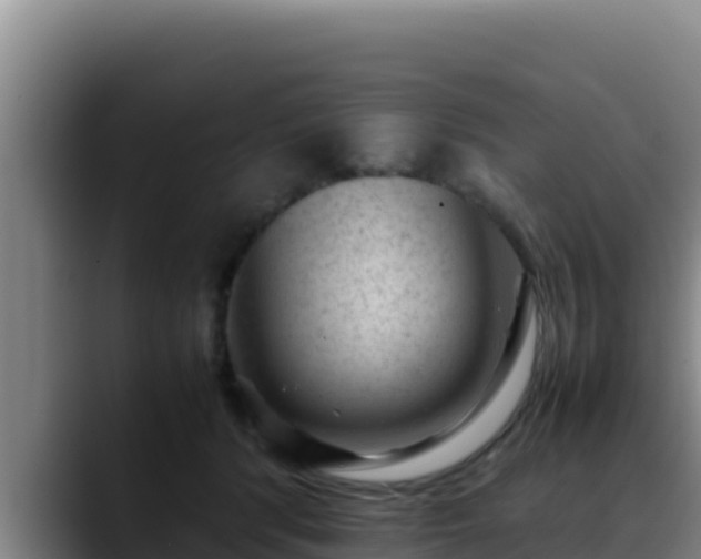 X0000090430416200707201140