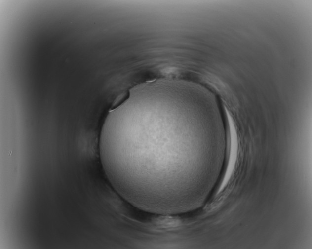 X0000090430421200707201140