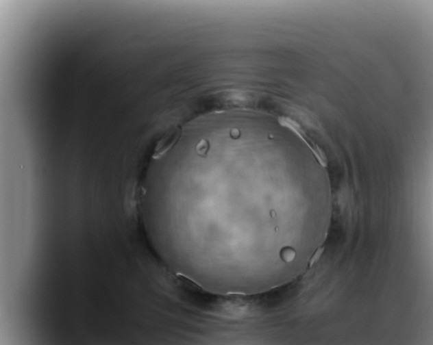 X0000090430423200707201140