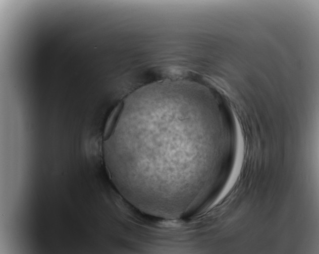 X0000090430425200707201140