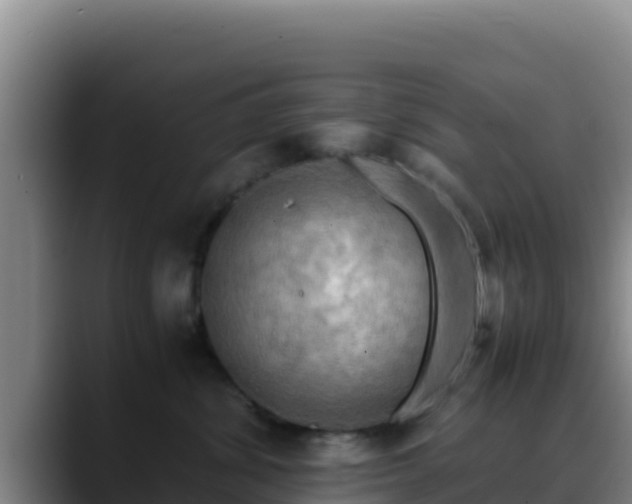 X0000090430428200707201140