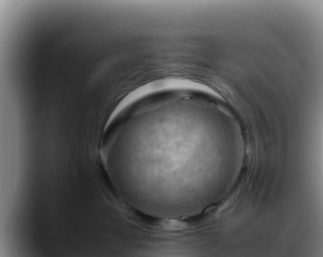 X0000090430429200707201140