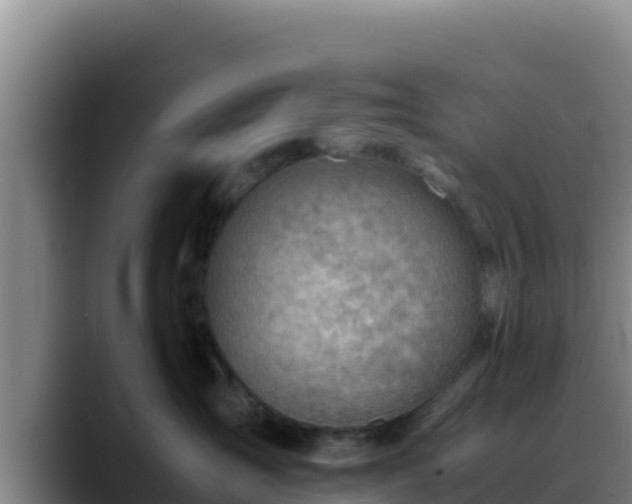 X0000090430431200707201139