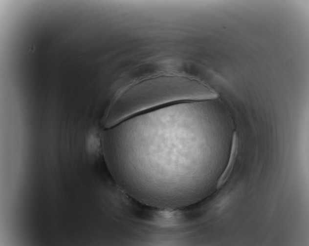 X0000090430432200707201139