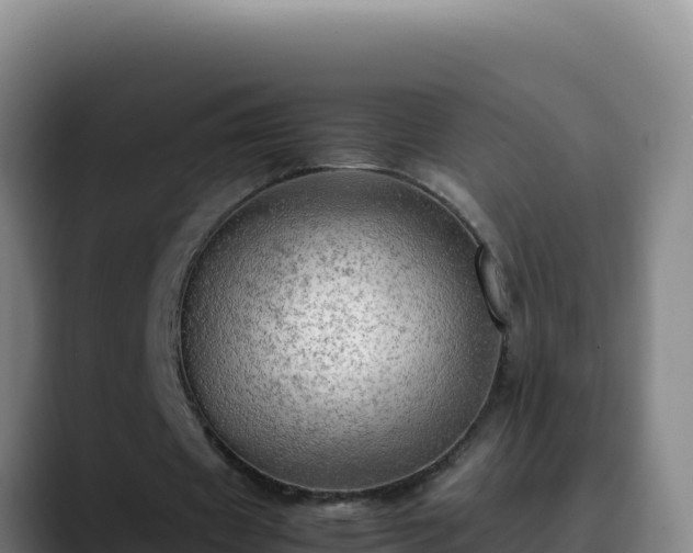 X0000090430433200707201139