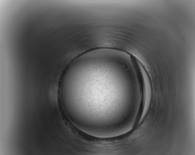X0000090430434200707201139