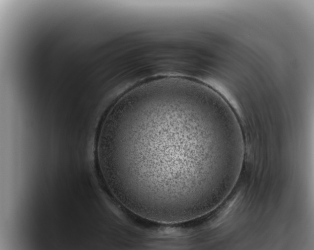 X0000090430437200707201139